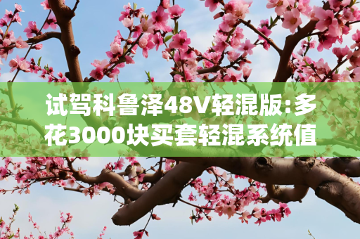 试驾科鲁泽48V轻混版:多花3000块买套轻混系统值不值？