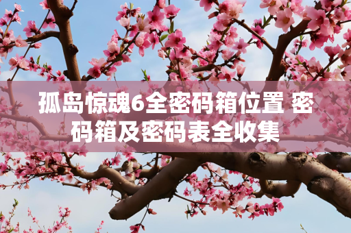 孤岛惊魂6全密码箱位置 密码箱及密码表全收集