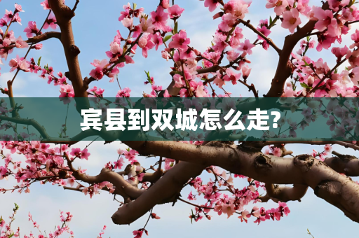 宾县到双城怎么走?