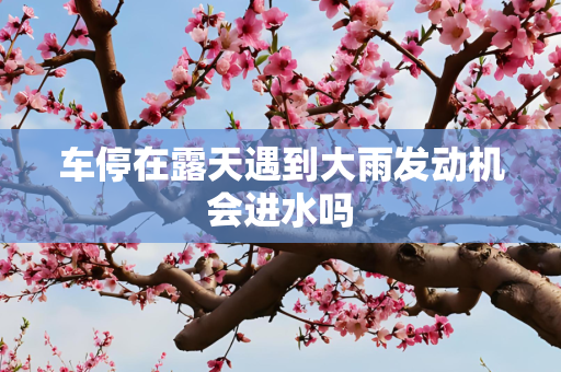 车停在露天遇到大雨发动机会进水吗