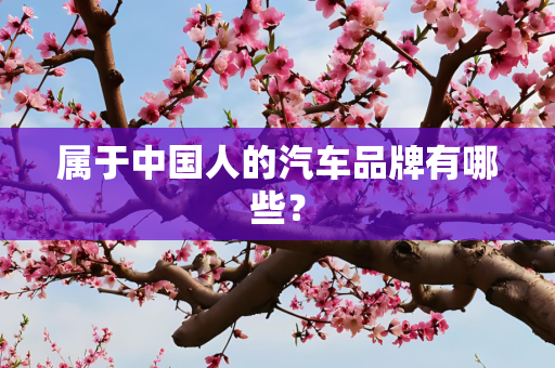 属于中国人的汽车品牌有哪些？