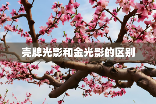 壳牌光影和金光影的区别