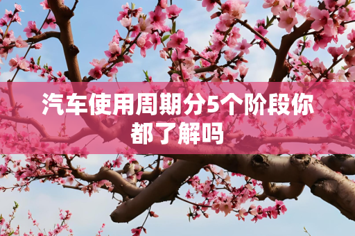汽车使用周期分5个阶段你都了解吗