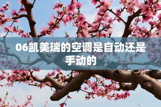 06凯美瑞的空调是自动还是手动的