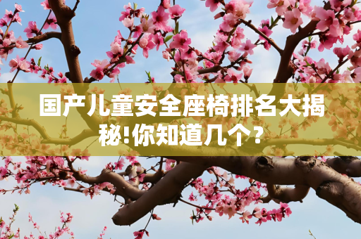 国产儿童安全座椅排名大揭秘!你知道几个？