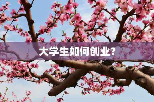 大学生如何创业？