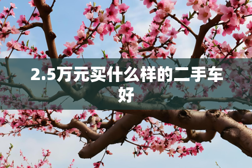 2.5万元买什么样的二手车好