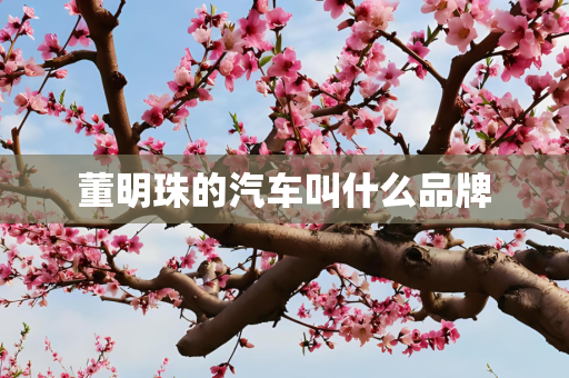 董明珠的汽车叫什么品牌