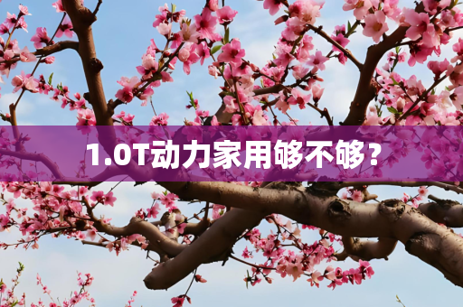 1.0T动力家用够不够？