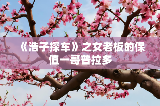 《浩子探车》之女老板的保值一哥普拉多