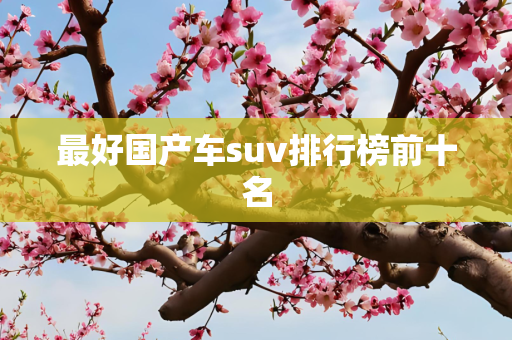 最好国产车suv排行榜前十名