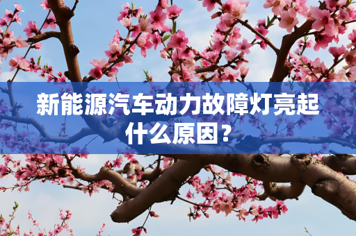 新能源汽车动力故障灯亮起什么原因？