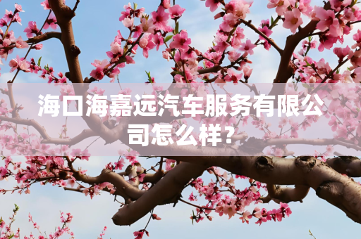 海口海嘉远汽车服务有限公司怎么样？