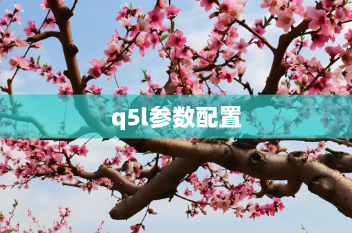 q5l参数配置