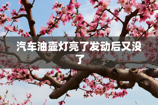 汽车油壶灯亮了发动后又没了