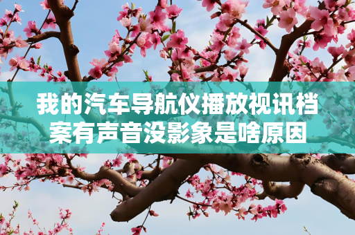 我的汽车导航仪播放视讯档案有声音没影象是啥原因