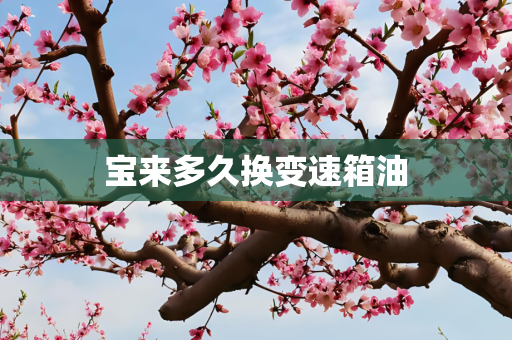 宝来多久换变速箱油