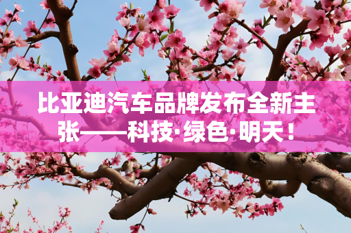 比亚迪汽车品牌发布全新主张——科技·绿色·明天！