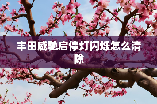 丰田威驰启停灯闪烁怎么清除