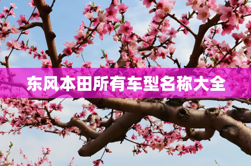 东风本田所有车型名称大全