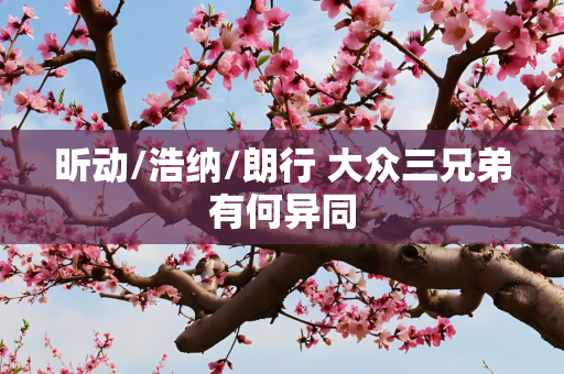 昕动/浩纳/朗行 大众三兄弟有何异同