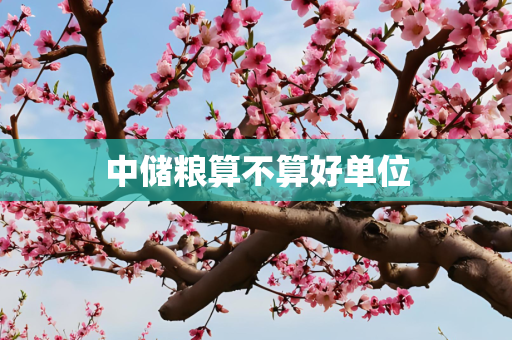 中储粮算不算好单位