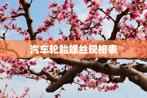 汽车轮胎螺丝规格表