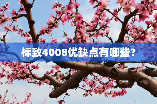 标致4008优缺点有哪些？