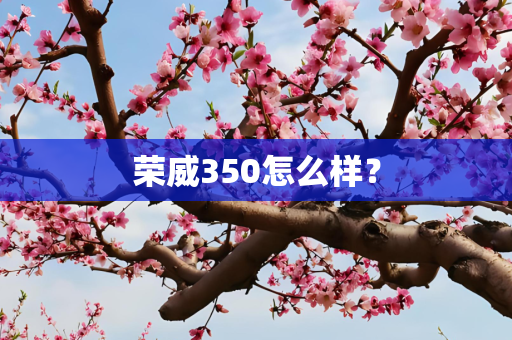 荣威350怎么样？