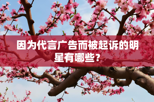 因为代言广告而被起诉的明星有哪些？