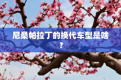 尼桑帕拉丁的换代车型是啥？