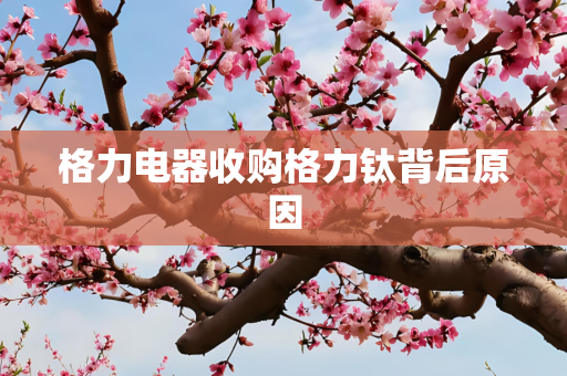 格力电器收购格力钛背后原因