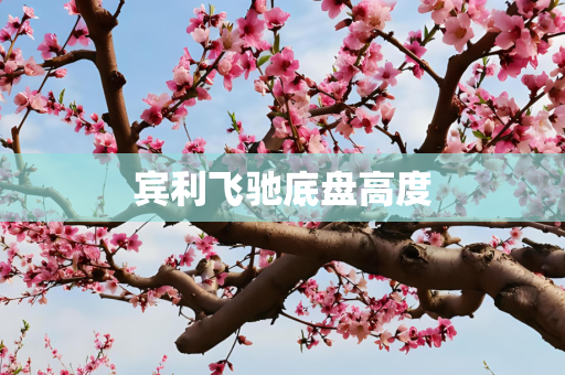 宾利飞驰底盘高度