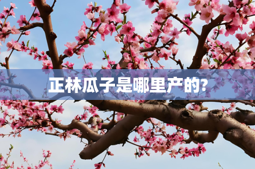 正林瓜子是哪里产的?