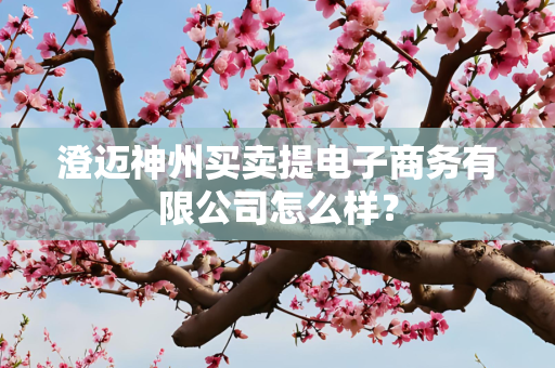 澄迈神州买卖提电子商务有限公司怎么样？
