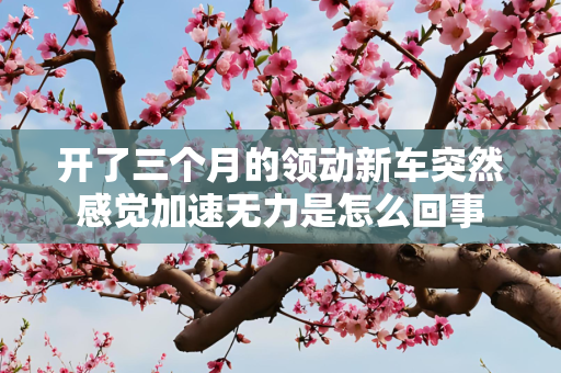 开了三个月的领动新车突然感觉加速无力是怎么回事