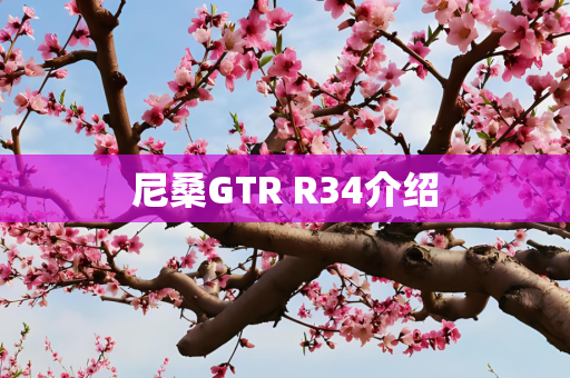 尼桑GTR R34介绍
