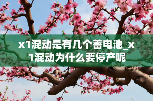 x1混动是有几个蓄电池_x1混动为什么要停产呢