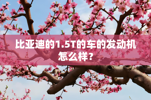 比亚迪的1.5T的车的发动机怎么样？