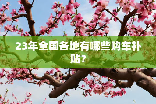 23年全国各地有哪些购车补贴？