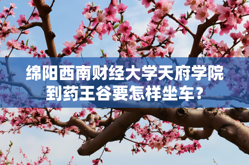 绵阳西南财经大学天府学院到药王谷要怎样坐车？