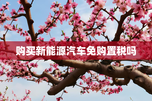 购买新能源汽车免购置税吗
