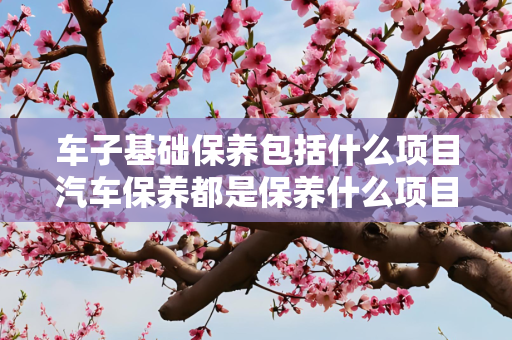 车子基础保养包括什么项目汽车保养都是保养什么项目