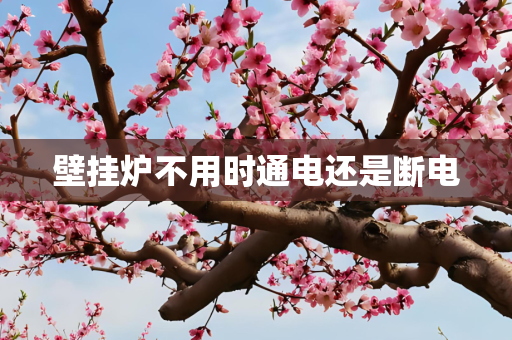 壁挂炉不用时通电还是断电