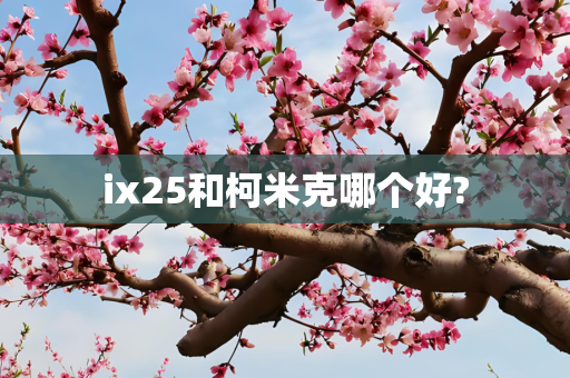 ix25和柯米克哪个好?