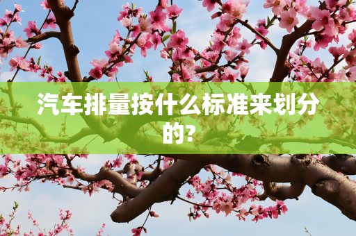 汽车排量按什么标准来划分的?