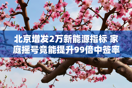 北京增发2万新能源指标 家庭摇号竟能提升99倍中签率？