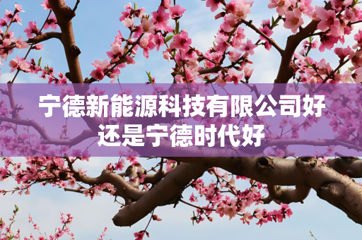 宁德新能源科技有限公司好还是宁德时代好