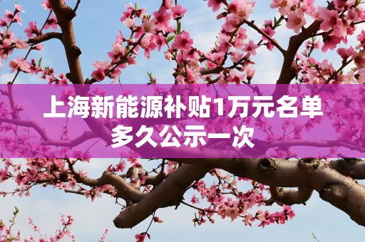 上海新能源补贴1万元名单多久公示一次