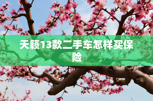 天籁13款二手车怎样买保险